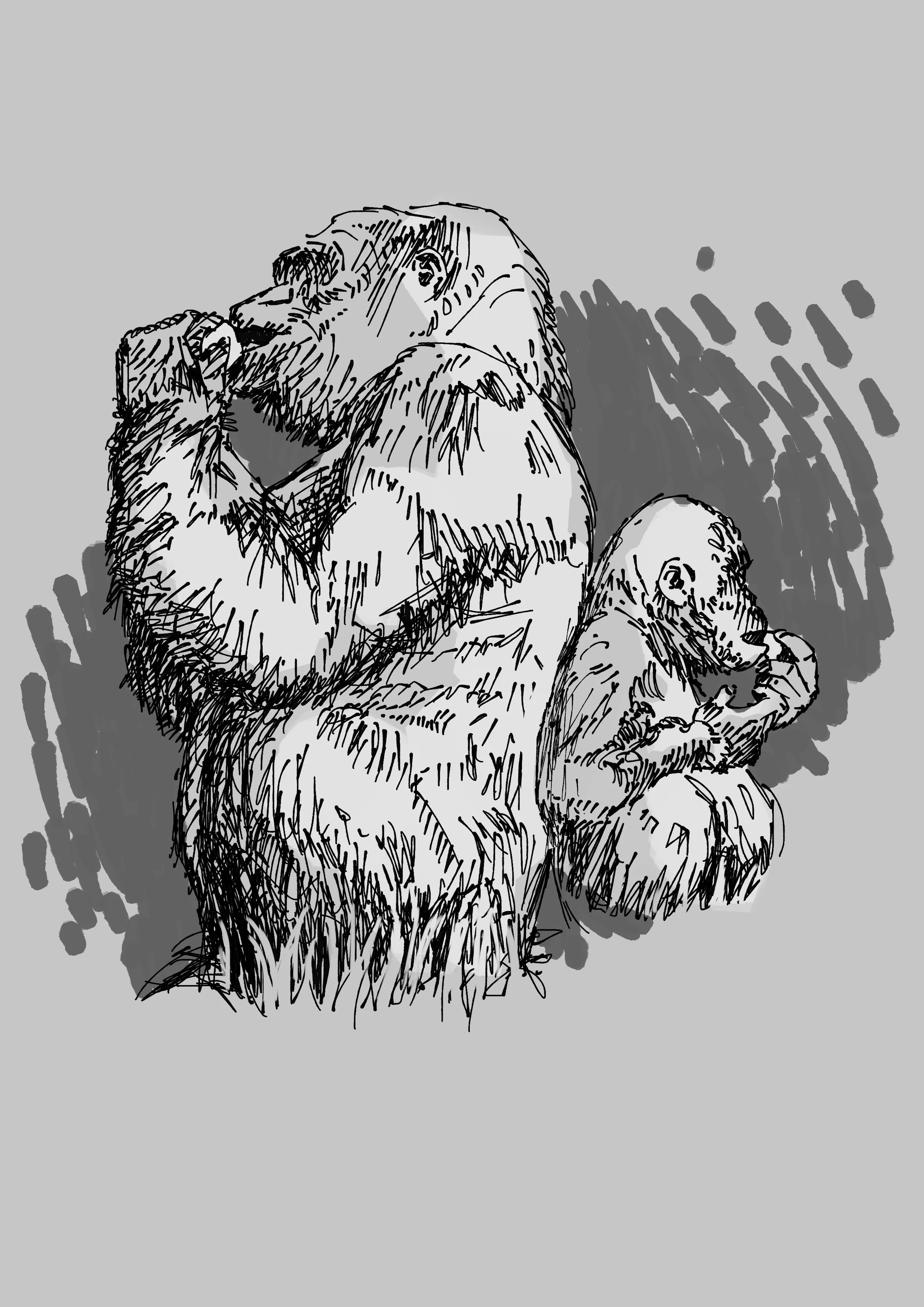 Gorilla — ink sketch by Michael B. Jacob